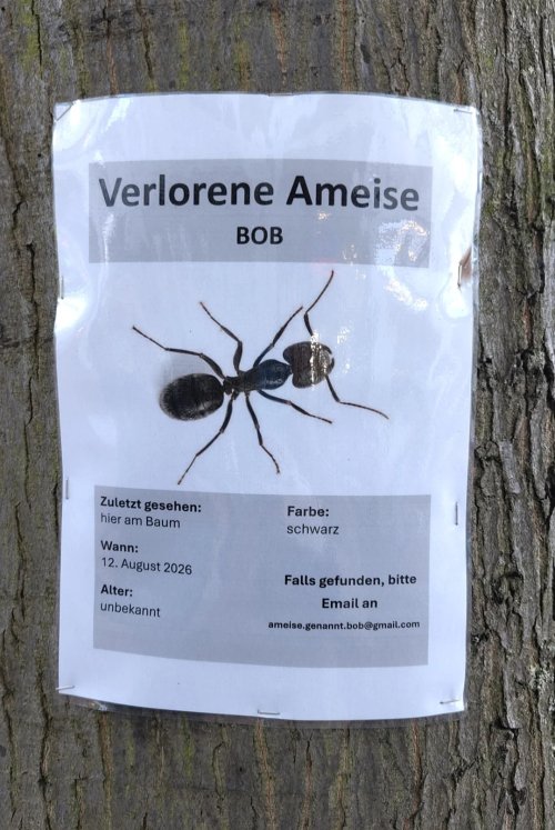 Picdump