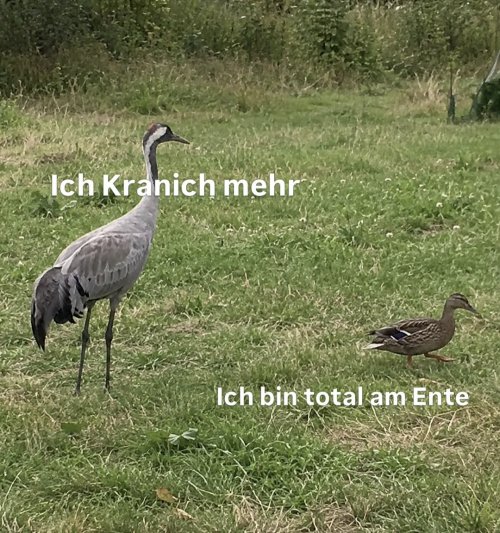 Picdump