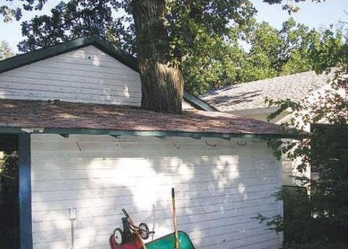Verrückte Hausreparaturen