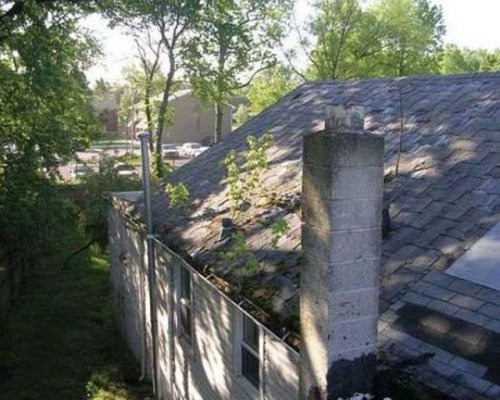 Weird House Repairs #2